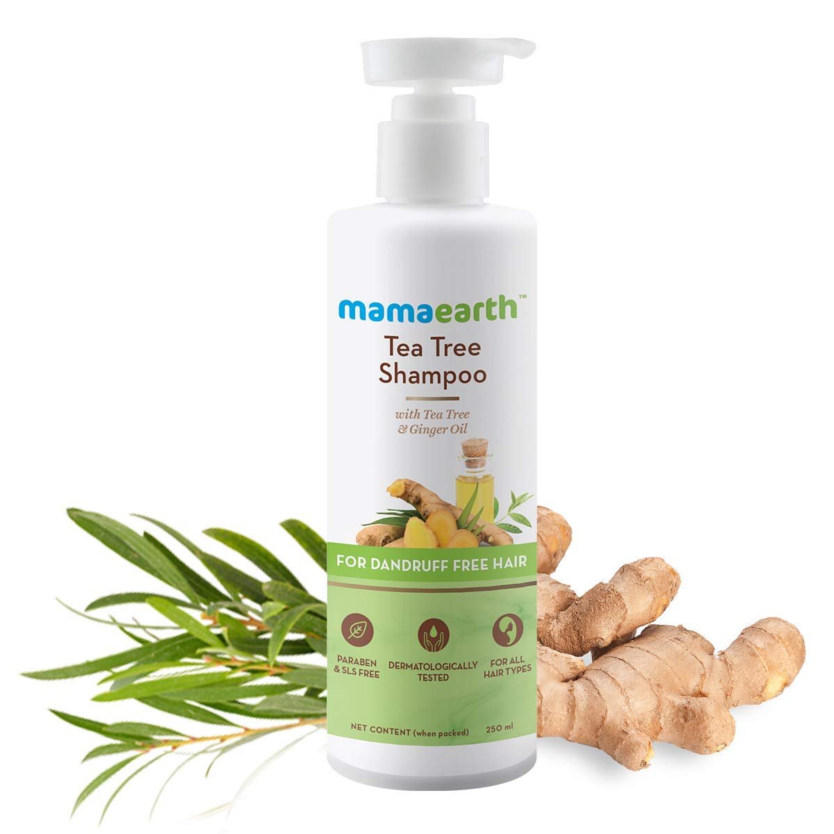 Mamaearth Tea Tree Anti Dandruff Shampo 250ml