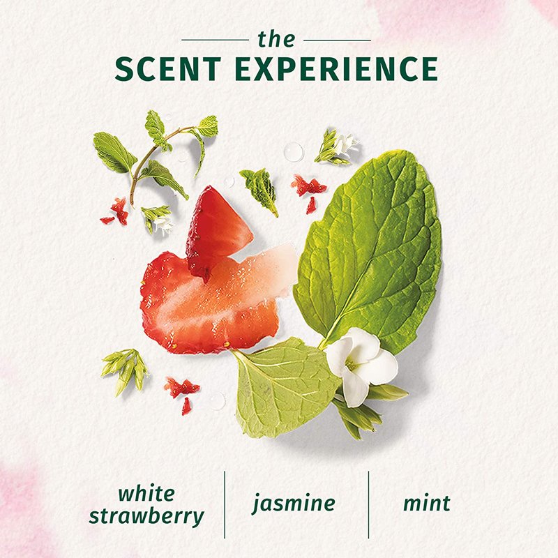 Herbal Essences White Strawberry & Sweet Mint Conditoner (400ml)